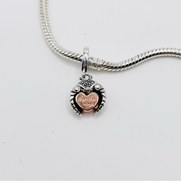 “Hope has Wings” Ladybug Pendant Charm - Picture 4 of 4